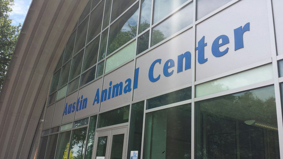 ChelsAndrewsWX's tweet photo. If you're like me and need to walk off some #NationalDonutDay calories, I know just the place! #austinanimals https://t.co/2sRz0fFd1T