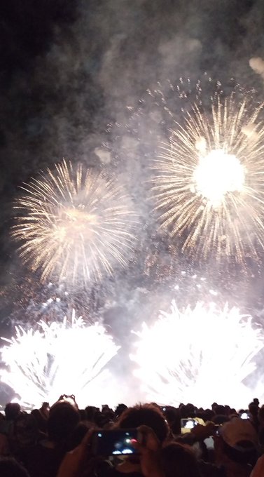 ごと花のtwitterイラスト検索結果 古い順