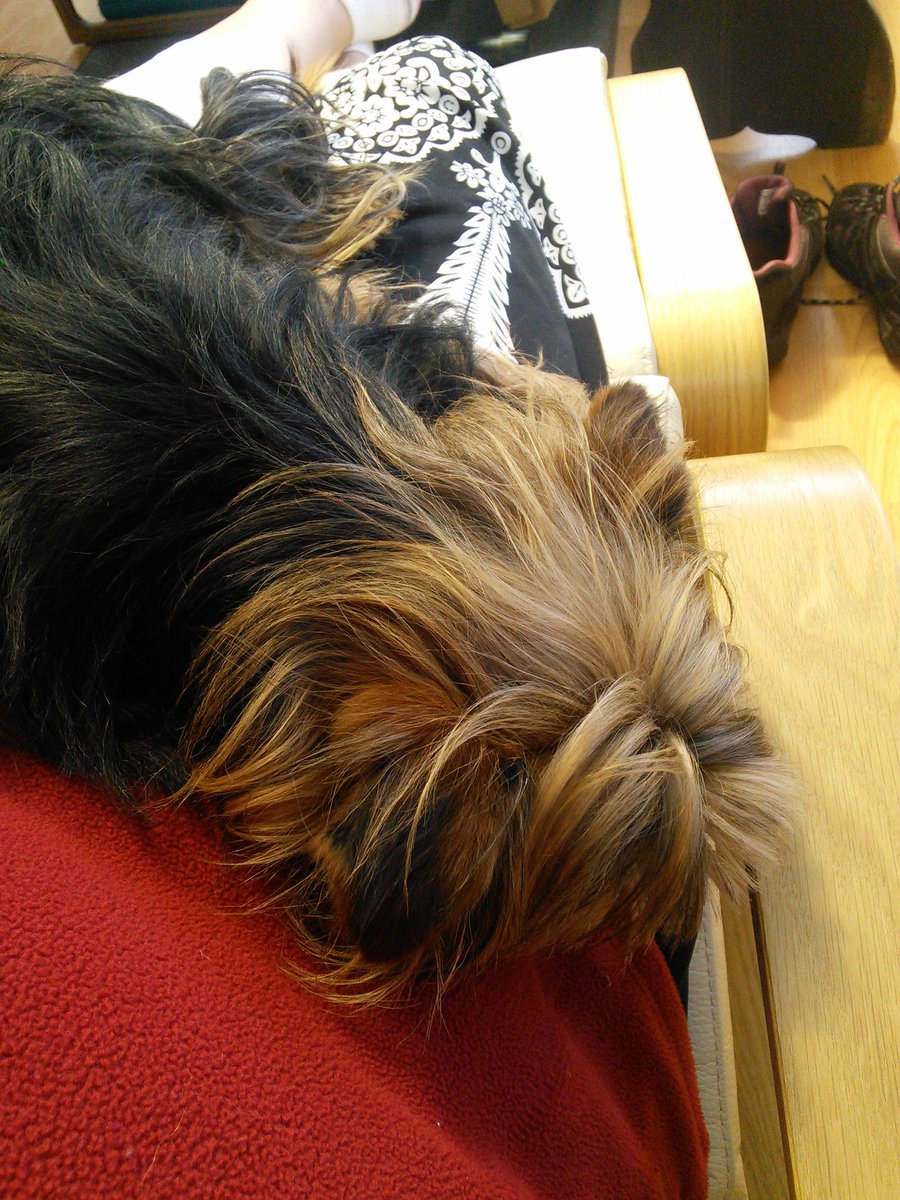 Tammylynn Kwan On Twitter There S A Problem With Our Ikea