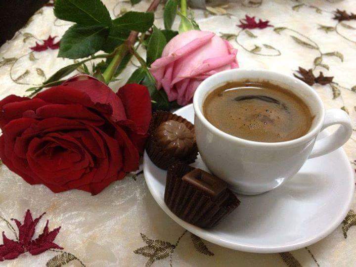 zahratalwadi575 tweet picture