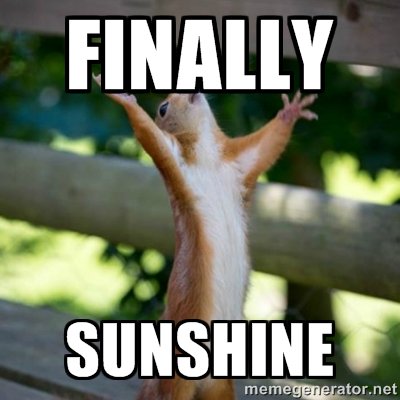 taralodge4star's tweet photo. the sun is shining &amp; we have that #FridayFeeling here at #taralodge - hope all our guests have a great weekend!! :) https://t.co/jCX2bgqASI