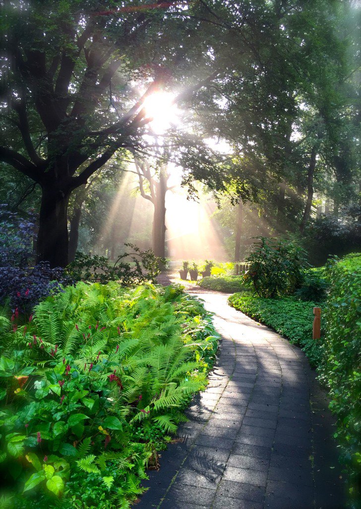 retreatnet's tweet photo. Emotional Freedom Retreat Aug 11-14 in Netherlands
BEING ABLE TO CHOOSE YOUR EMOTIONS ???
https://t.co/CxGkSkrW7b https://t.co/cZX2zQbmPt