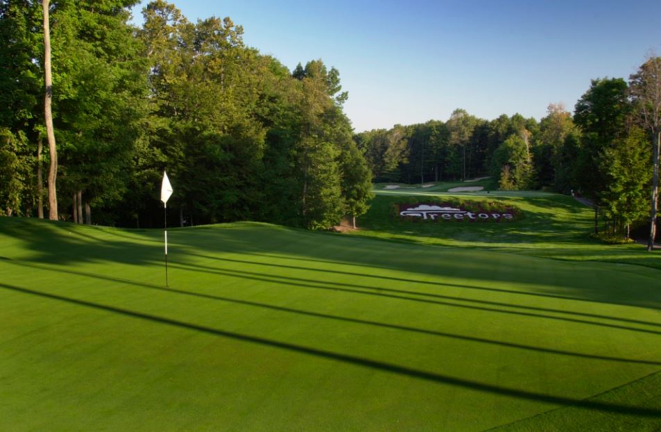 PureMichigan's tweet photo. It’s #MichiganGolfMonth! Read these 5 ways to enjoy more #PureMichiganGolf this summer ⛳️: https://t.co/Tylp8AhvJt https://t.co/JumVNlwwAd