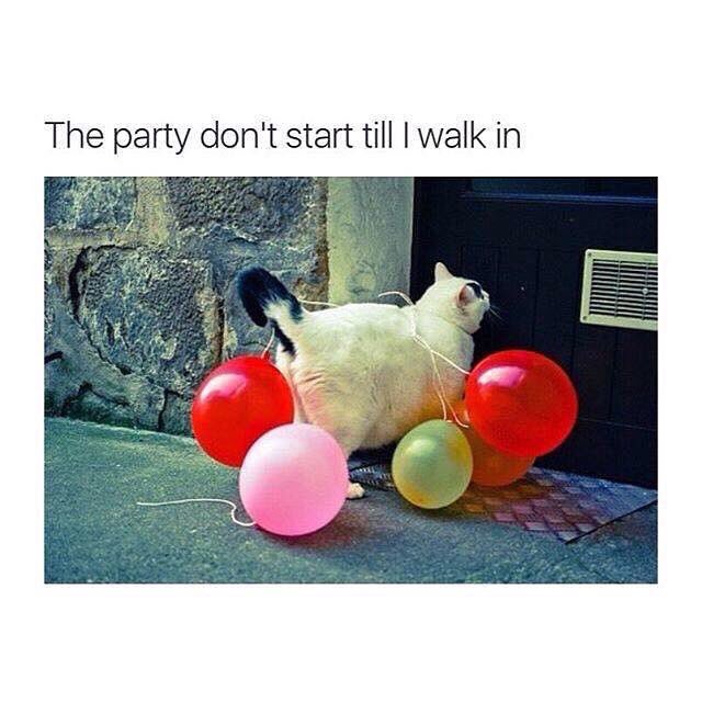 #FridayFeeling #PartyOnWaynes #DiscoDoesItBetter