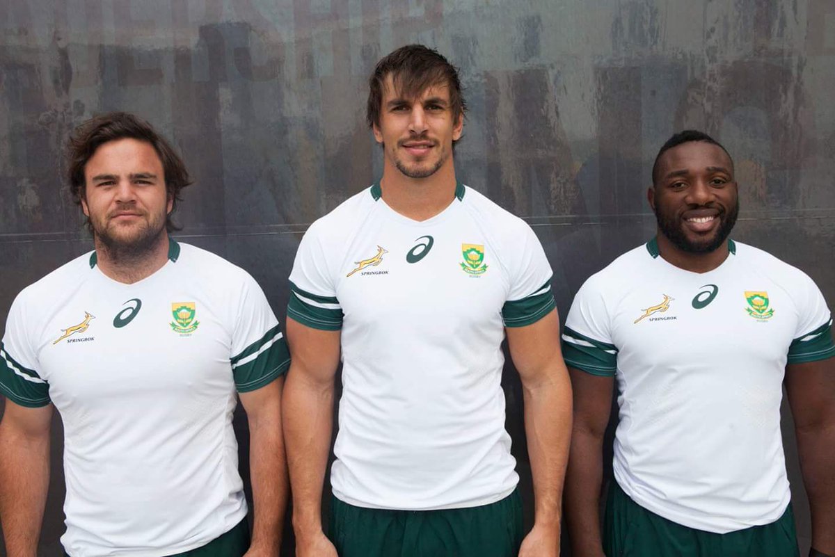 white springbok jersey