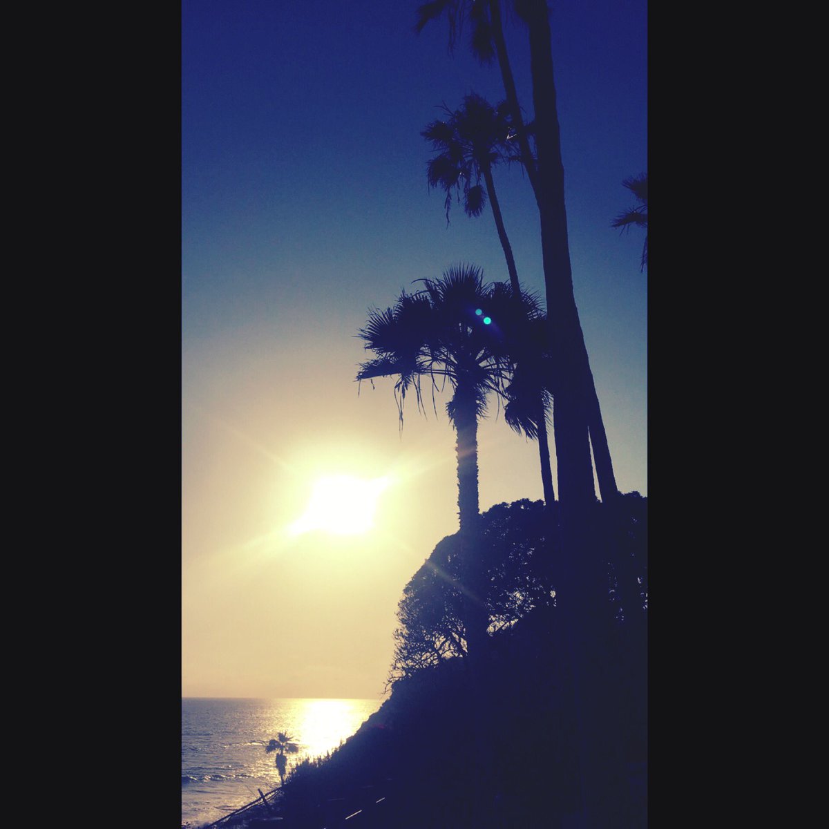 DevonnaRice's tweet photo. California love ❤️ #SanDiego #California #sunset #palmtrees #swamisbeach https://t.co/8GbyaxbJzU