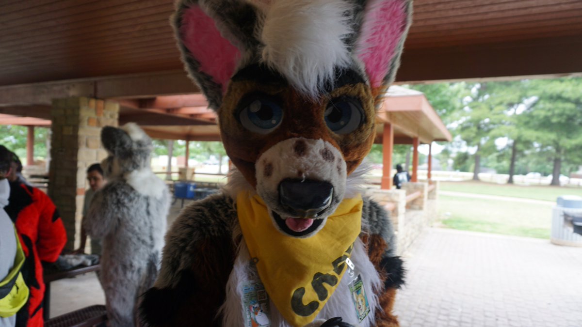 CadeCCorgi's tweet photo. Thats right! Im staring right at you! Happy #FursuitFriday !  #Fursuit #fursuiter #LocalMeet https://t.co/eMvHL0vVGH