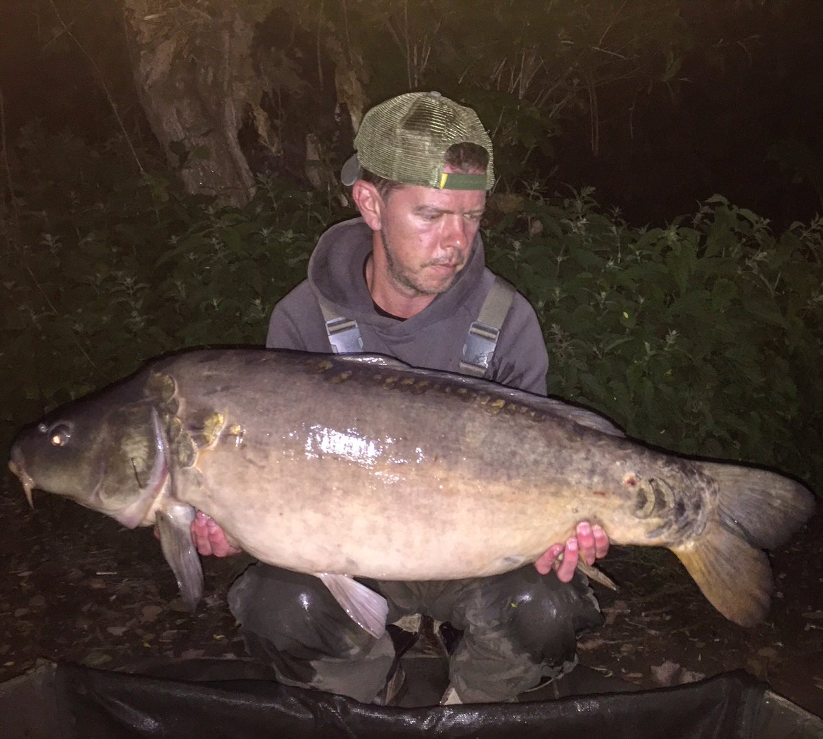 ski35's tweet photo. 32lb chunk from farlows last week!@FarlowsLake #carpfishing#trakker#foxint#navitas https://t.co/dmqPL6CMLD