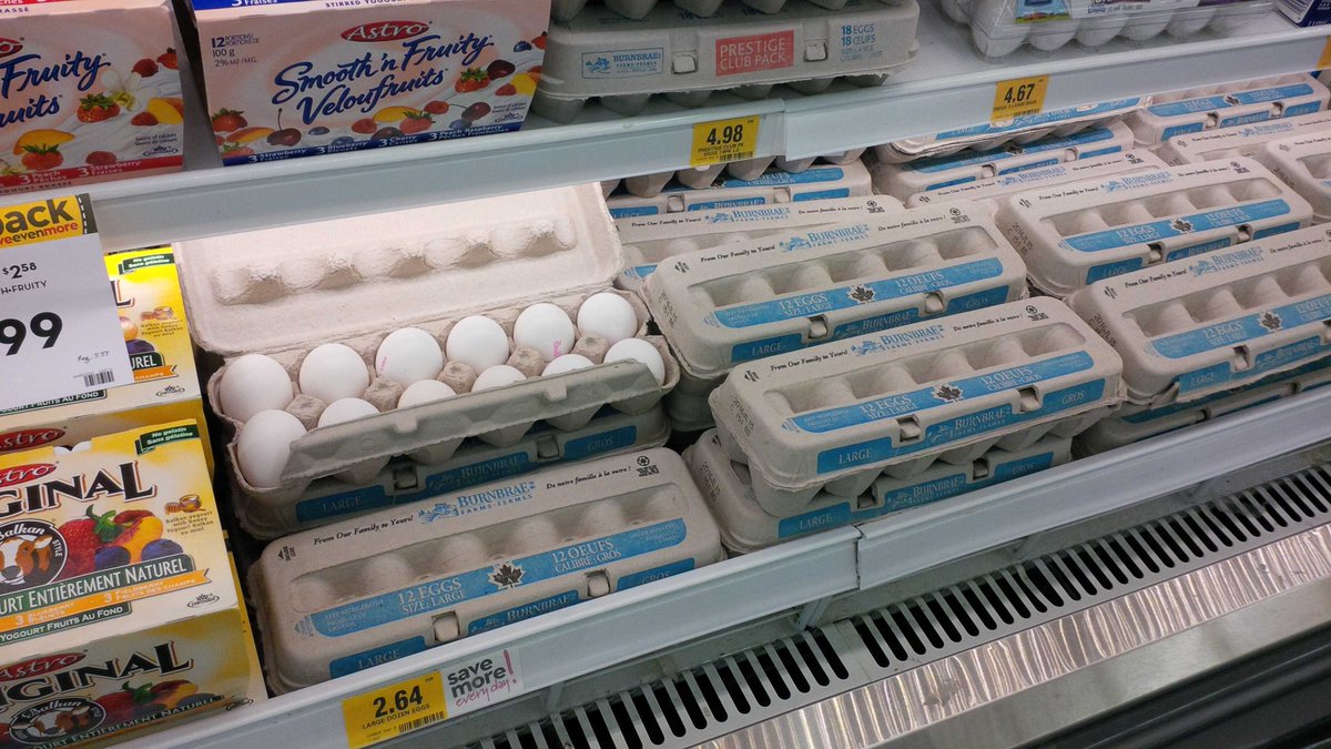 GTGuelph's tweet photo. A dozen eggs for $1.97 at Giant Tiger Guelph. Friday June 3 and Saturday June 4. While supplies last. Limit in place https://t.co/CFjWNzMzX8