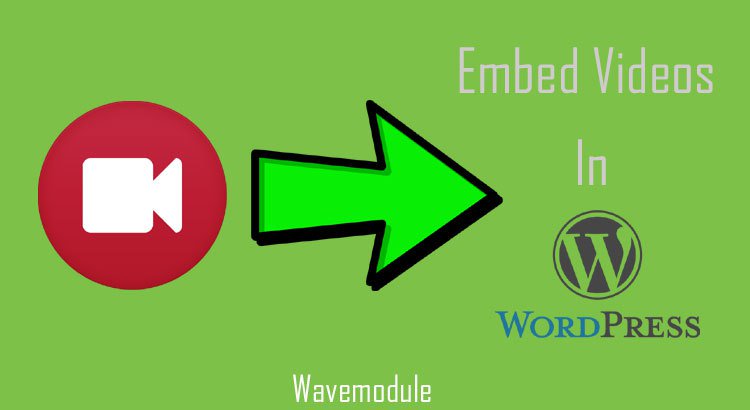 wavemodule's tweet image. [How TO] Embed Videos in WordPress? wavemodule.com/embed-videos-w…