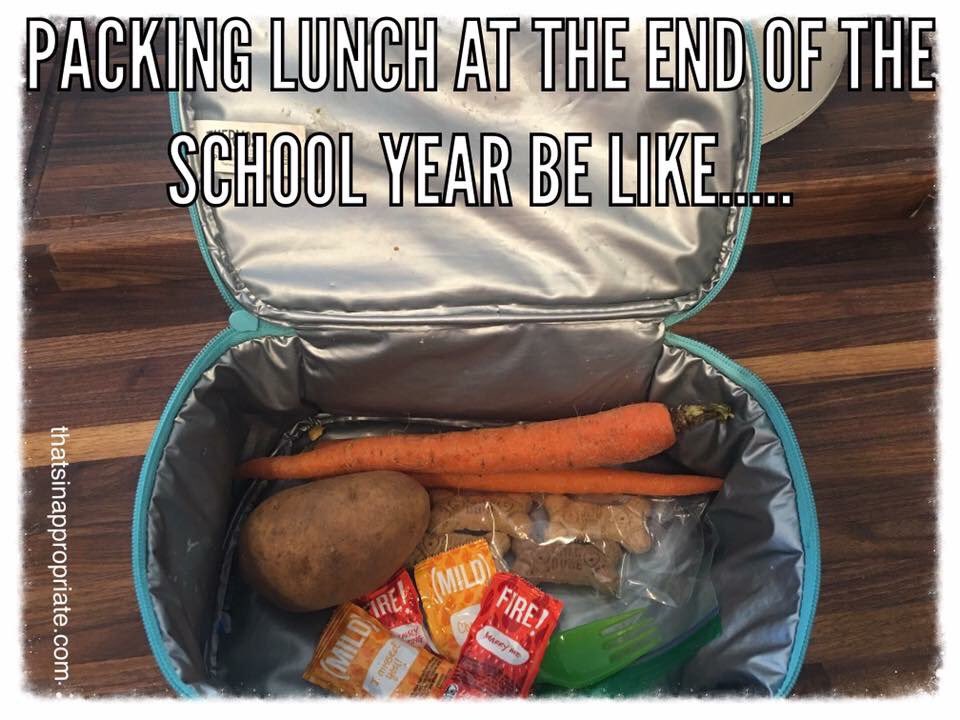 aylwardsam's tweet photo. I have totally packed an uncooked potato for my lunch as a teacher at the end of the year #microwaveit #5minsorless https://t.co/XuZlIIayCT