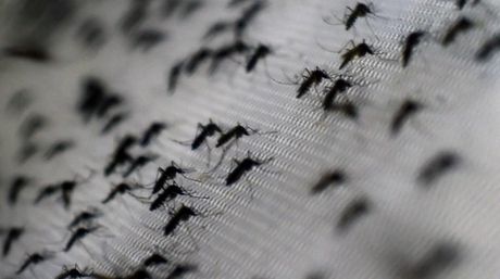 ElNacionalWeb's tweet photo. Científicos descubren que el Zika puede transmitirse a través del sexo oral https://t.co/4GA5H8gpTz https://t.co/bFBlvIW3Ip