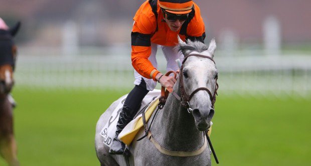 EquidiaNews's tweet photo. #Plat #Résumé #SaintCloud : #RoyalDolois décolle, #Cohésion & #Roxity débutent par un succès https://t.co/XgFod7s5In https://t.co/hwIakNrM0H