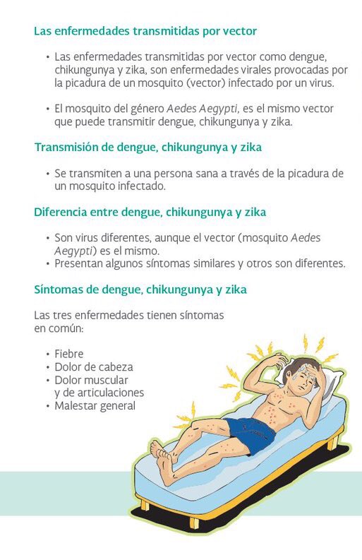 Salud_Hidalgo's tweet photo. #Síntomas más comunes del Virus #Zika: #Fiebre, #Conjuntivitis, #Dolor de cabeza, #Dolor muscular, #Salpullido, ... https://t.co/ZUYHJ1QX8I