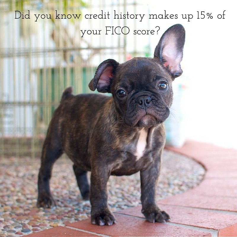 Upstart's tweet photo. Length of credit history determines 15% of your @FICO score. #whatsinyourfico #financialfitness #pupstart https://t.co/q2c0uuAUbx