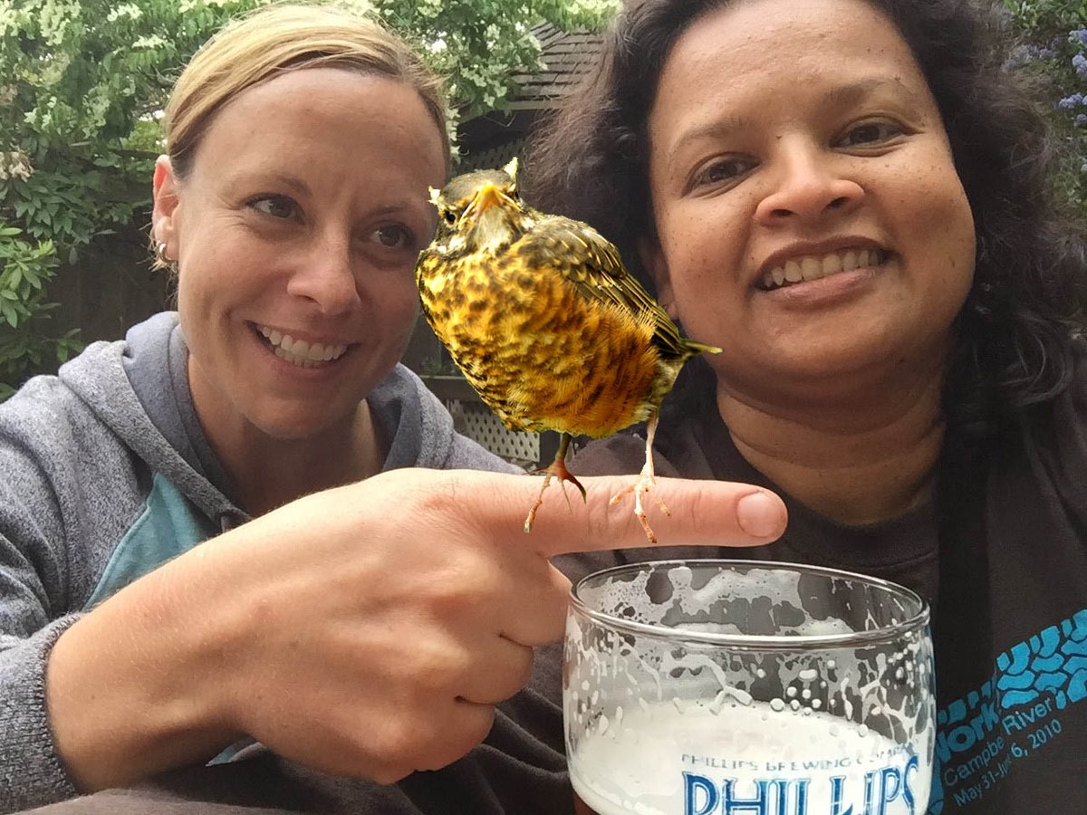 BakshN's tweet photo. This little guy wants to be just like @HercFromAbove when he grows up.  #BTWW @phillipsbeer #beerfromabird https://t.co/NjMmVZ8dY8