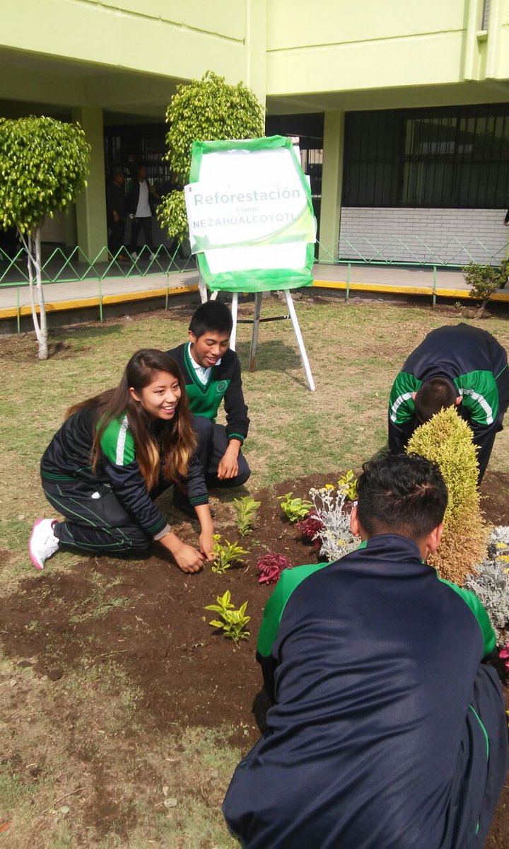 CecytemNeza's tweet photo. @CecytemNeza apoyando el #DiaMundialDelMedioAmbiente @somoscecytem https://t.co/4zqwBW3MWG