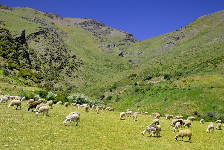 Hoy nos vamos en autocaravana por la Ruta por las Alpujarras --> goo.gl/LiRjtu
