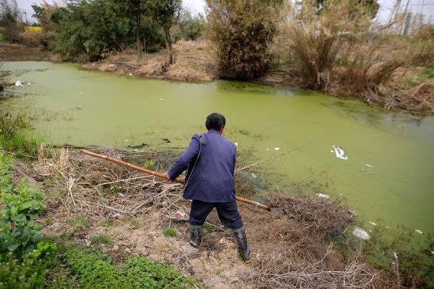 AriesFilterWrks's tweet photo. Do you know what human activities can contaminate ground water? https://t.co/20Zen2ePUr https://t.co/yQFERo94J8