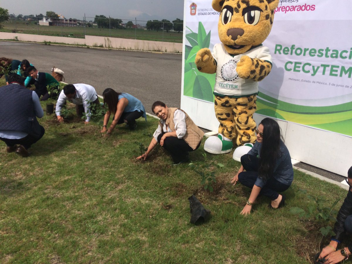 CecytemMetepec2's tweet photo. @haz_que_fluya @somoscecytem @bimendezz reforestando en Plantel Metepec 2 https://t.co/0yqbIV84xH