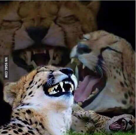 Cuando leo que la CDMX «se está convirtiendo en Nueva York».