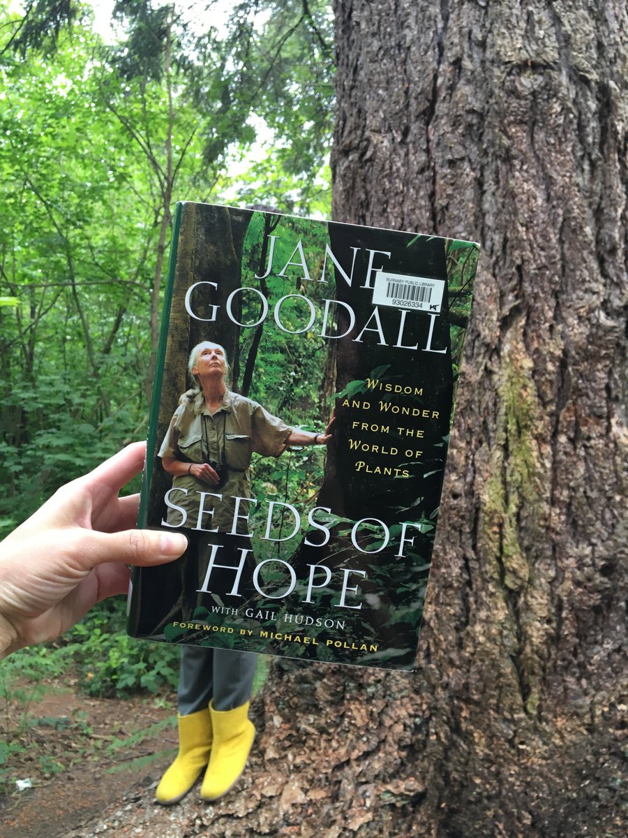 burnabypl's tweet photo. #bookfacefriday: we're in Central Park w/ @JaneGoodallInst for #CanadianEnvironmentalWeek! https://t.co/fwt1fGezN1 https://t.co/q2QsnYFOHX