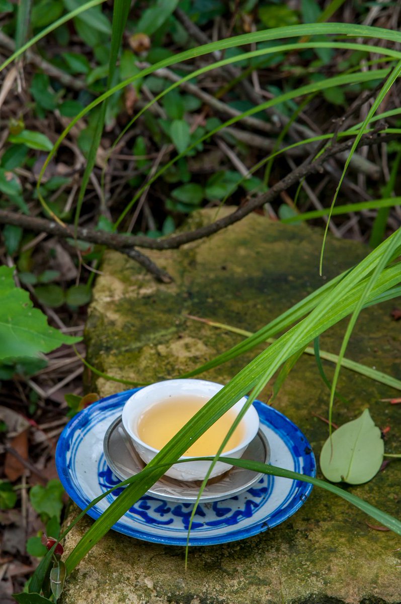 TeaMastersBlog's tweet image. Roasted Wenshan #Baozhong : teamasters.blogspot.tw/2016/06/roaste…
#Pouchong #gongfucha