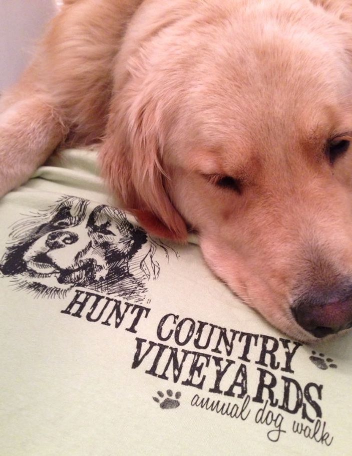 Hunt Country Wines tweet media