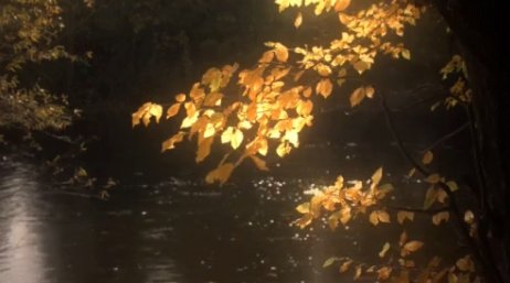 Existence_fr's tweet image. Que votre week-end soit doux et serein ... #bienetre #developpementpersonnel