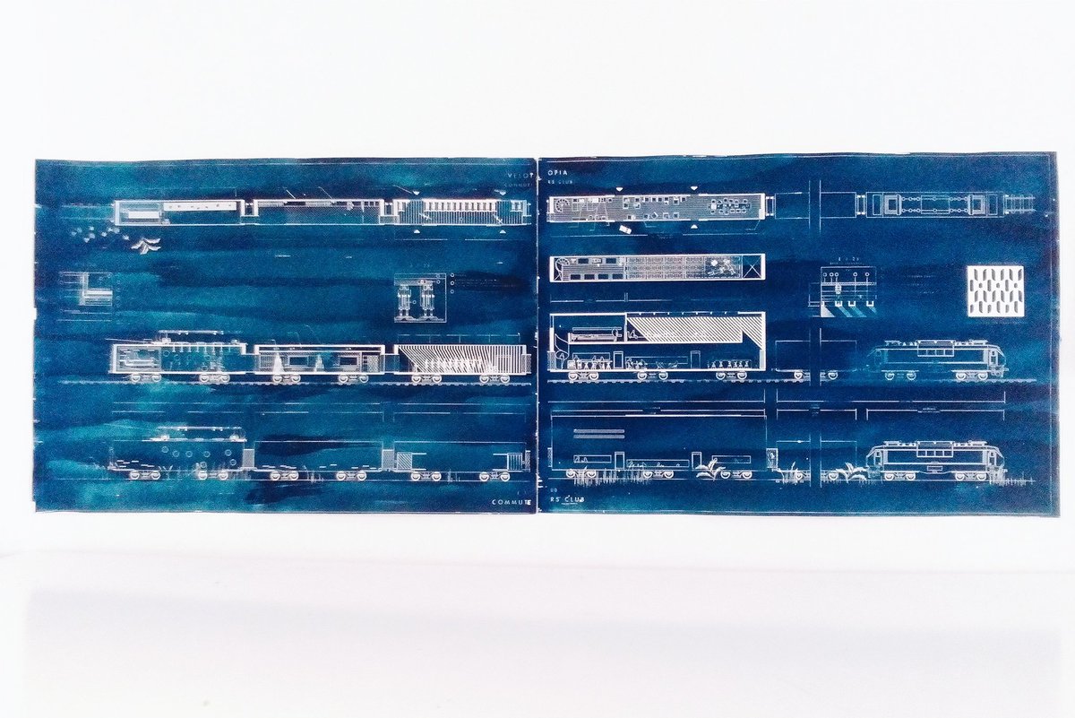 #cianotype #cianotipia