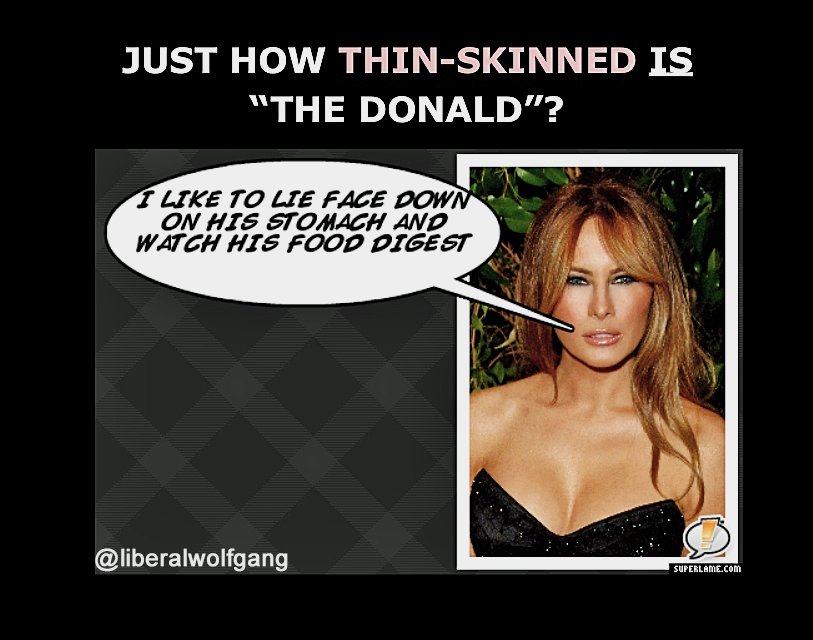 LIBERALWOLFGANG's tweet photo. #thin_skinned #trump #melania #gop #paul_ryan #the_liberal_media #fox https://t.co/SMAl8i2Cof