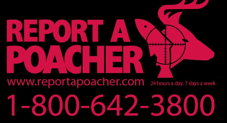 Alberta Fish and Wildlife Enforcement tweet media