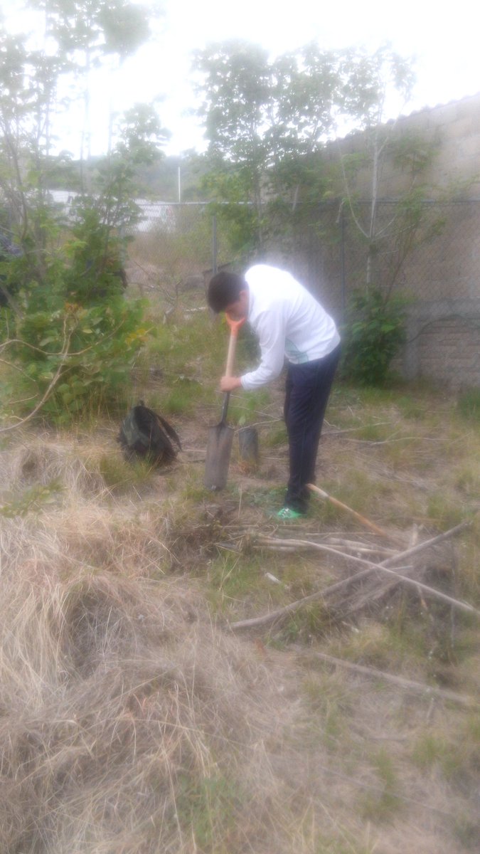 CecytemMalinalc's tweet photo. Nuestros alumnos se unen a la reforestación del día mundial del medio ambiente https://t.co/rEj0awK2JY