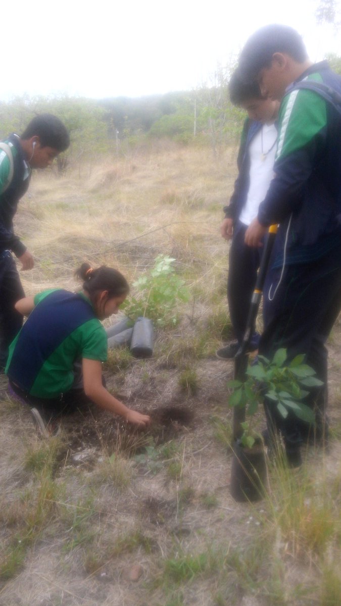 CecytemMalinalc's tweet photo. Nuestros alumnos se unen a la reforestación del día mundial del medio ambiente https://t.co/rEj0awK2JY