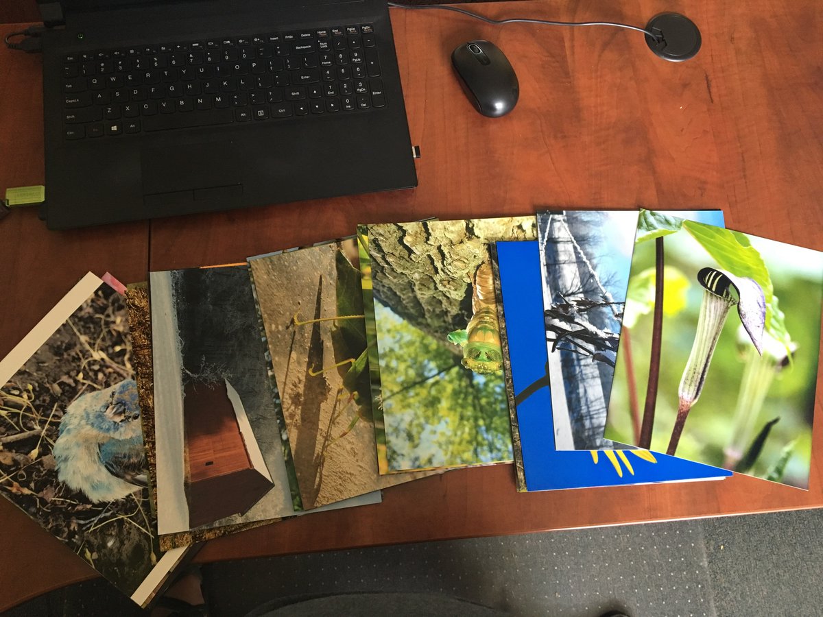 Amazing photos submitted for the photo contest this year! Stay tuned to learn how to vote for People’s Choice.