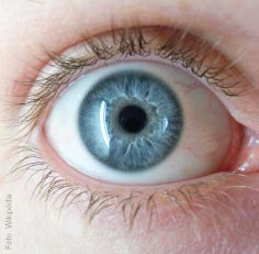 nuestracolucci's tweet photo. "the pupil dilates when you see something you love" 👀 https://t.co/kvfvJJjix0
