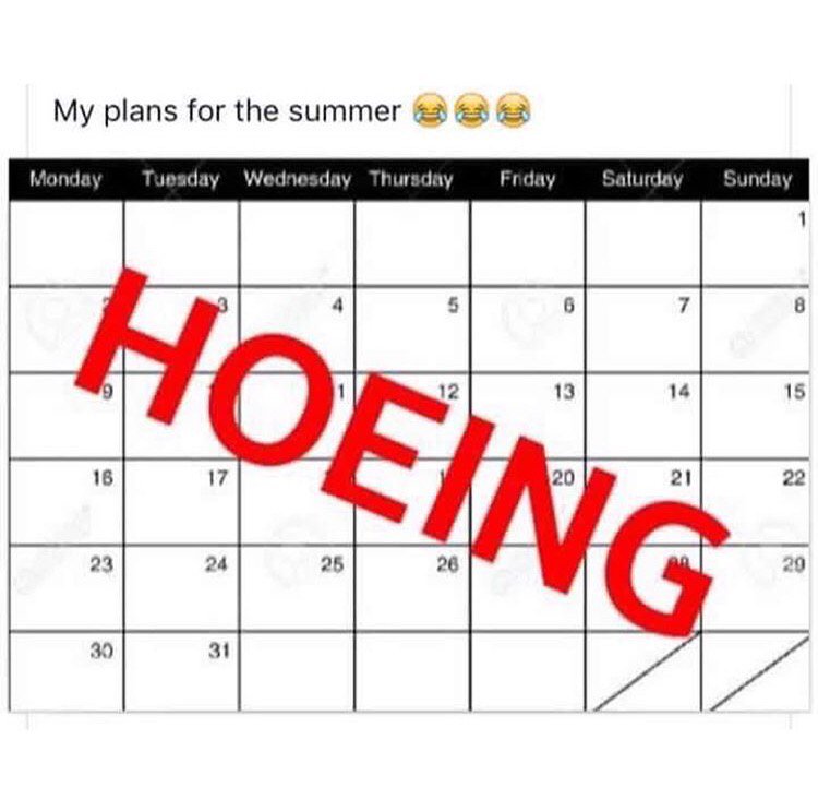 dj_bandz's tweet photo. Wat majority of y'all bitches summer look like! https://t.co/VrqoytgSOa