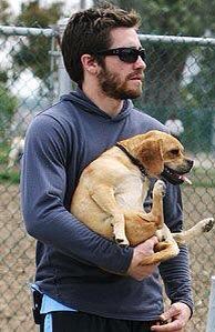 FiImFeed's tweet photo. Jake Gyllenhaal holding his dog incorrectly https://t.co/KbZMZxeuxC