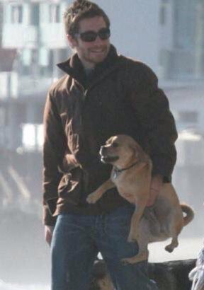 FiImFeed's tweet photo. Jake Gyllenhaal holding his dog incorrectly https://t.co/KbZMZxeuxC