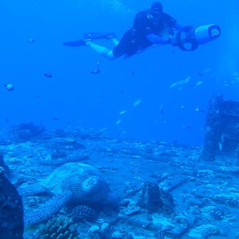 Monkey diving in Oahu.  Mahalo <a href="/OceanLegends/">Ocean Legends</a>