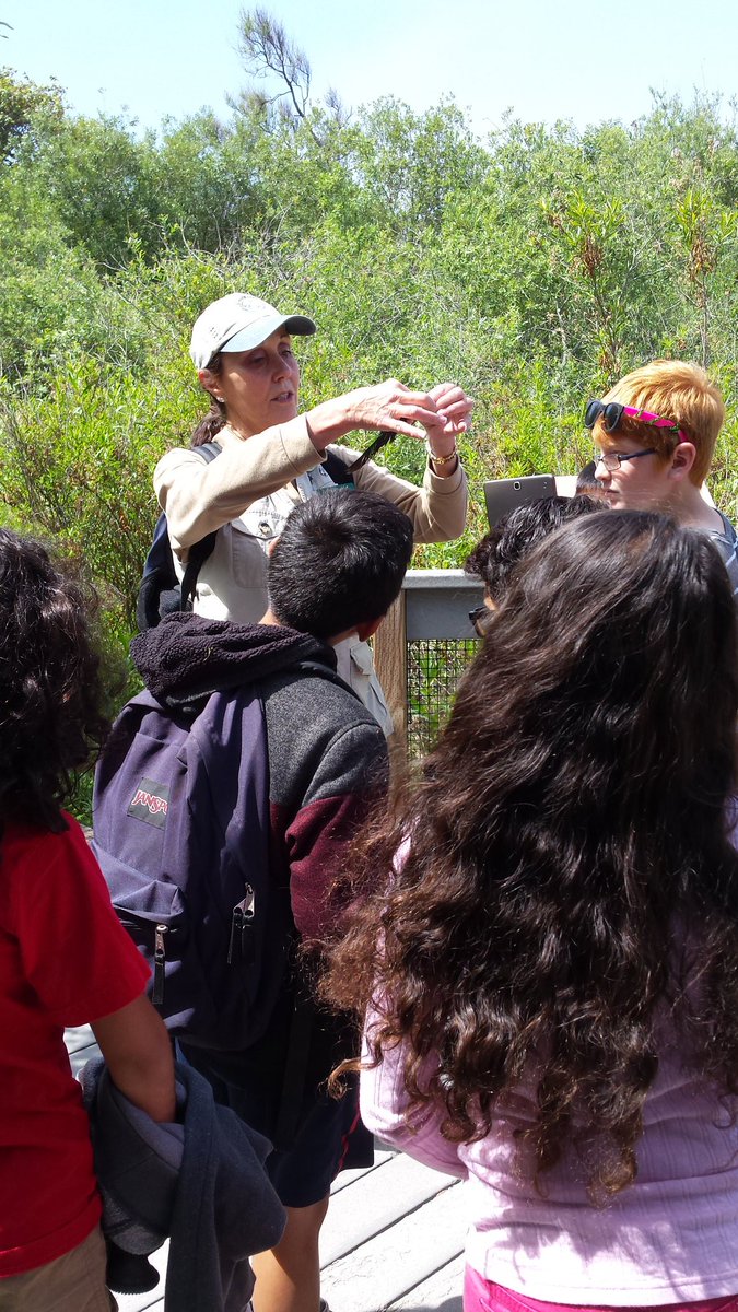 AD 4th grades out in nature! #SELNC #ades_smusd