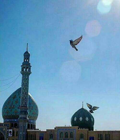 ياطائرا في تلك السماء🕊
بعد السلام ✋ ...
قل للإمام ‼️
اشتقت والقلب ادماه الهيام ..
هل من لقاء❓❓
🌺

┈┉┅━❀🍃🌸🍃❀━┅┉