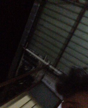 Liberato1926's tweet photo. Sono LIVE ora su #streamago https://t.co/aqfS89mmmo https://t.co/wFibyQ75UB
