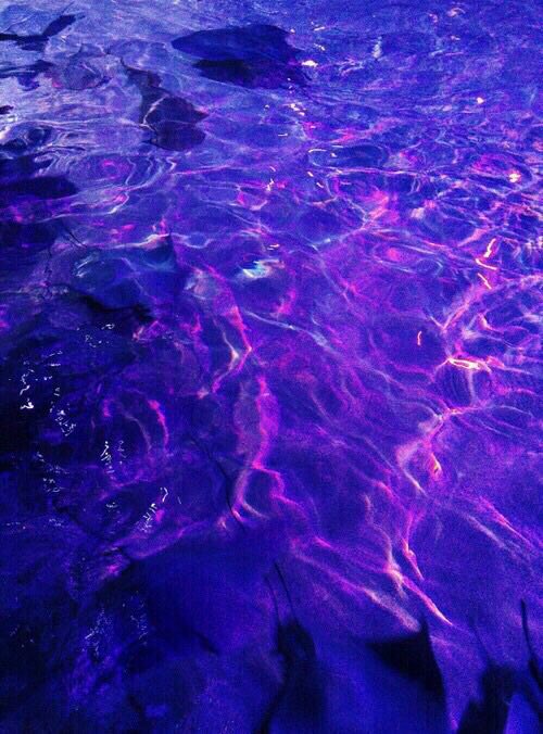 aestheticmisfit's tweet photo. her name was xung https://t.co/VVHawBtKYq