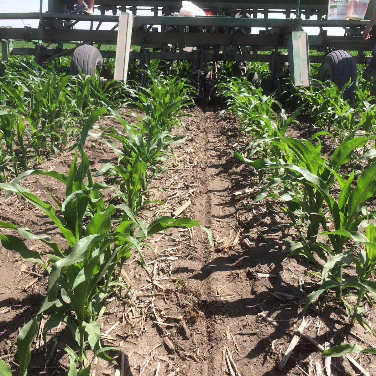 DV959's tweet image. #interseeding #covercrop for the first time today #farm365 #plant16