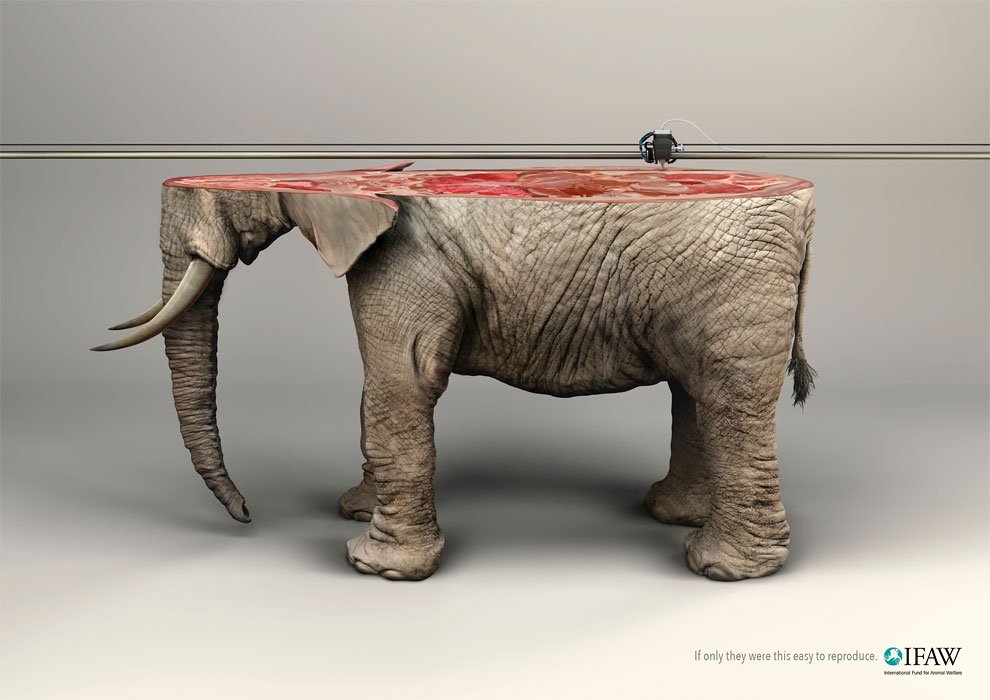 ReplicatorWorld's tweet photo. IFAW uses #3dprinting to reveal a haunting reality about #extinction https://t.co/oGbcJNeI6J https://t.co/rRnVtPzghI