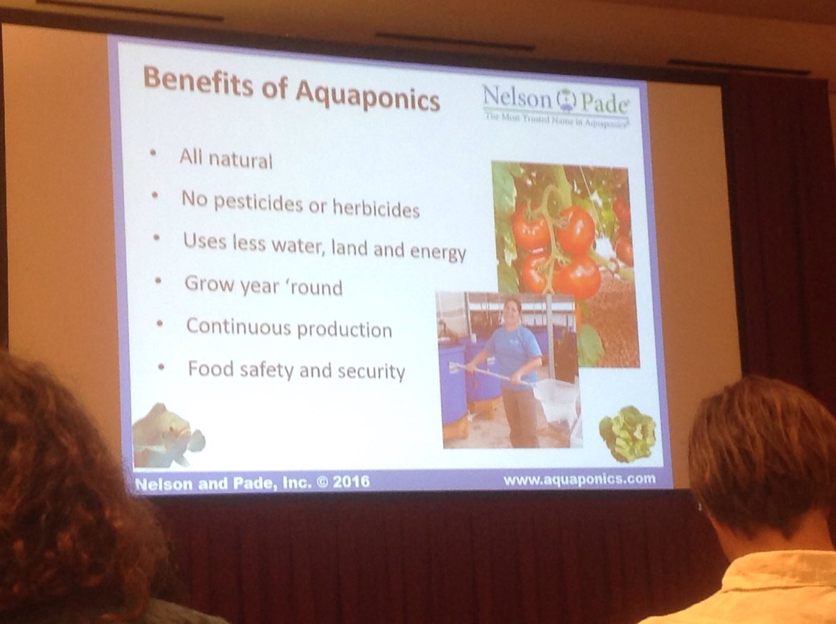 JosephMink's tweet photo. Aquaponics! 
Yeah it's happening. https://t.co/Qc7A6arwb9