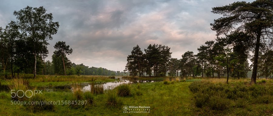 RealWeatherPics's tweet photo. Panorama - A Painted Sky by williammevissen https://t.co/9sSnFAgJK4 https://t.co/GngmYx0Tuj