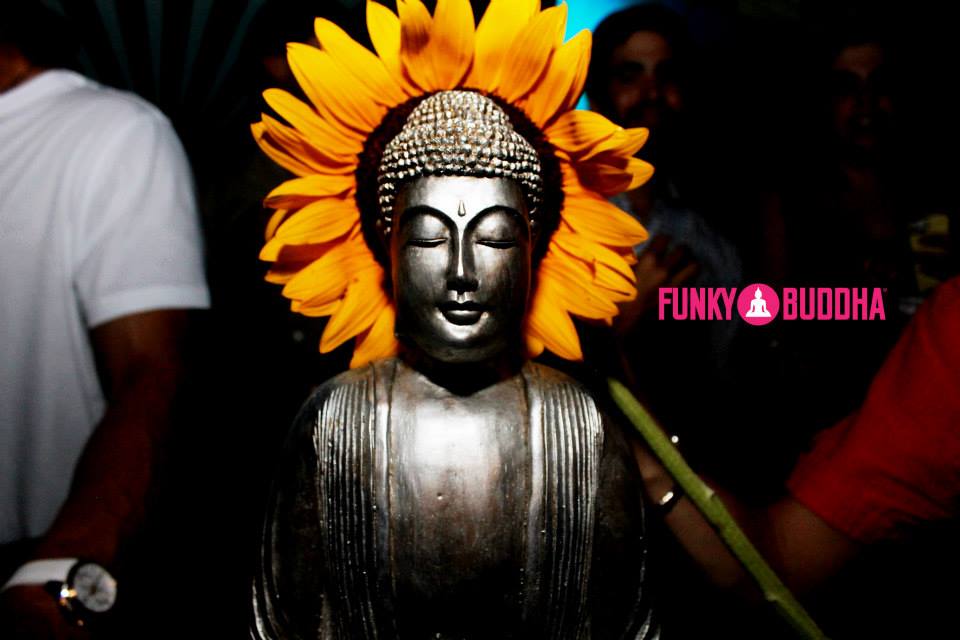 funkybuddhapr's tweet image. ALL KINDS OF BEAUTIFUL FLOWERS ARE EXPECTED AT OUR BUDDHA GARDEN TONIGHT!