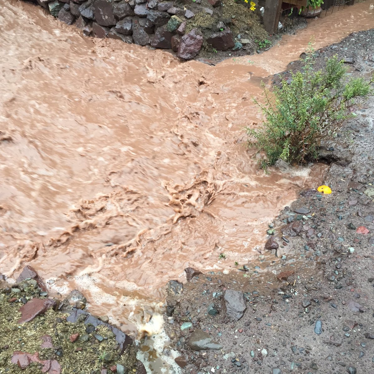 FABIANMUNOZDIAZ's tweet photo. La posada sector el tártaro @MuniPutaendo @dnoticias_cl @PrimeraPtdo @PutaendoInforma @gmoreyescortez https://t.co/sUbi50VutY